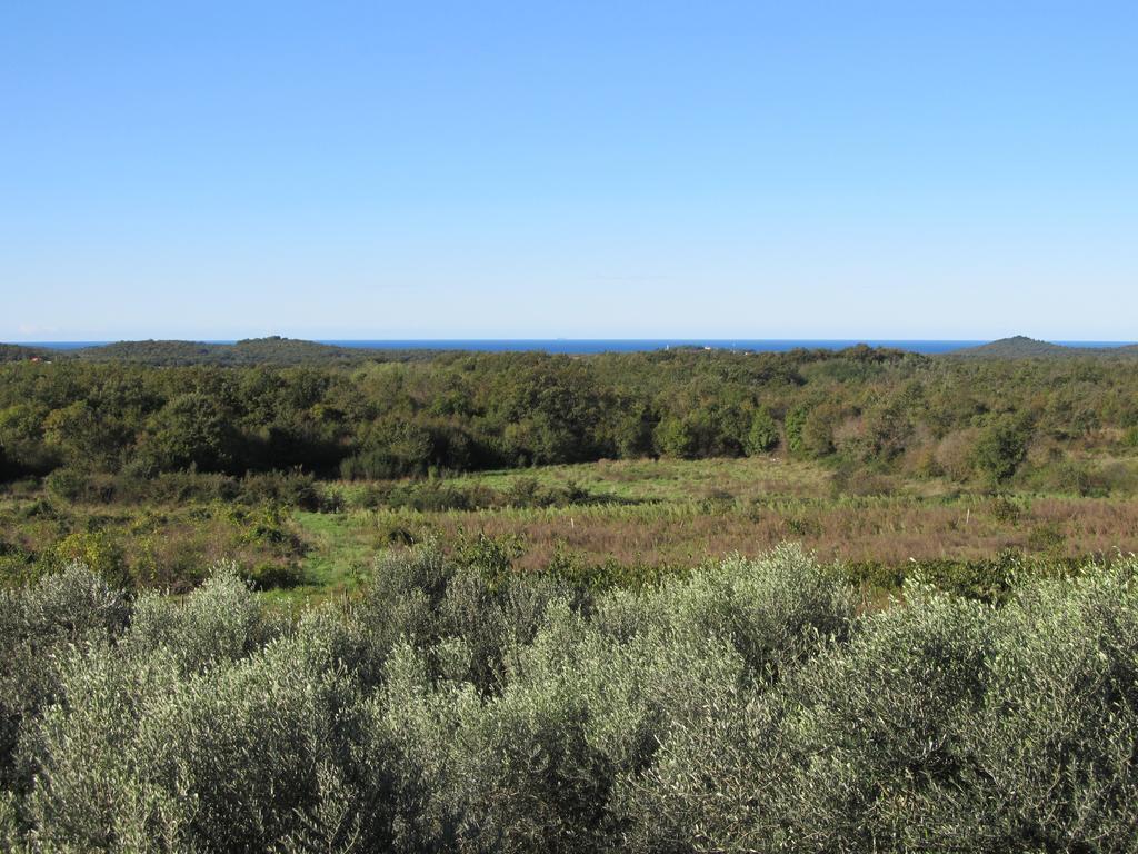 Holiday Home Vinkovic Poreč Zewnętrze zdjęcie
